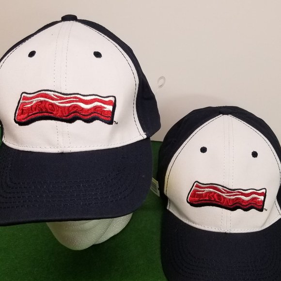 Melonwear Accessories 9 Lehigh Valley Ironpigs Hats Poshmark